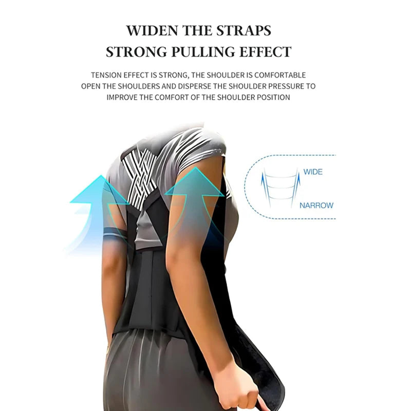 Back support belt