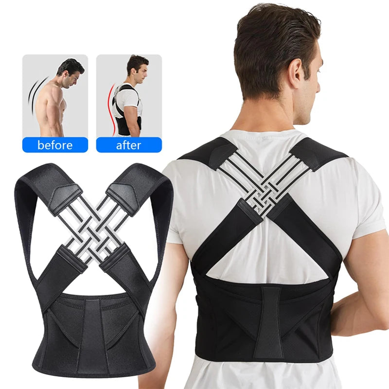 Back support belt