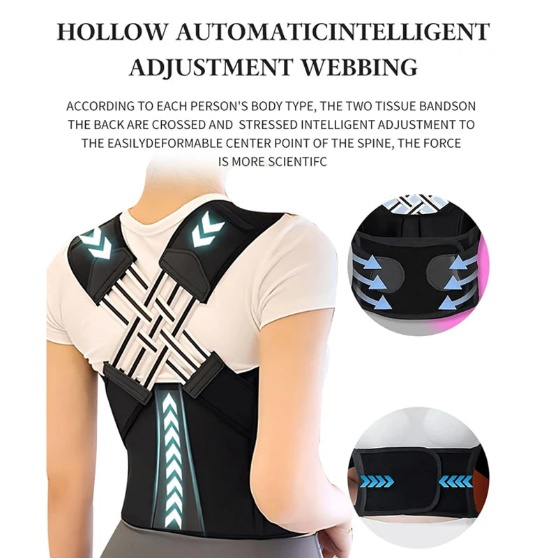 Back support belt