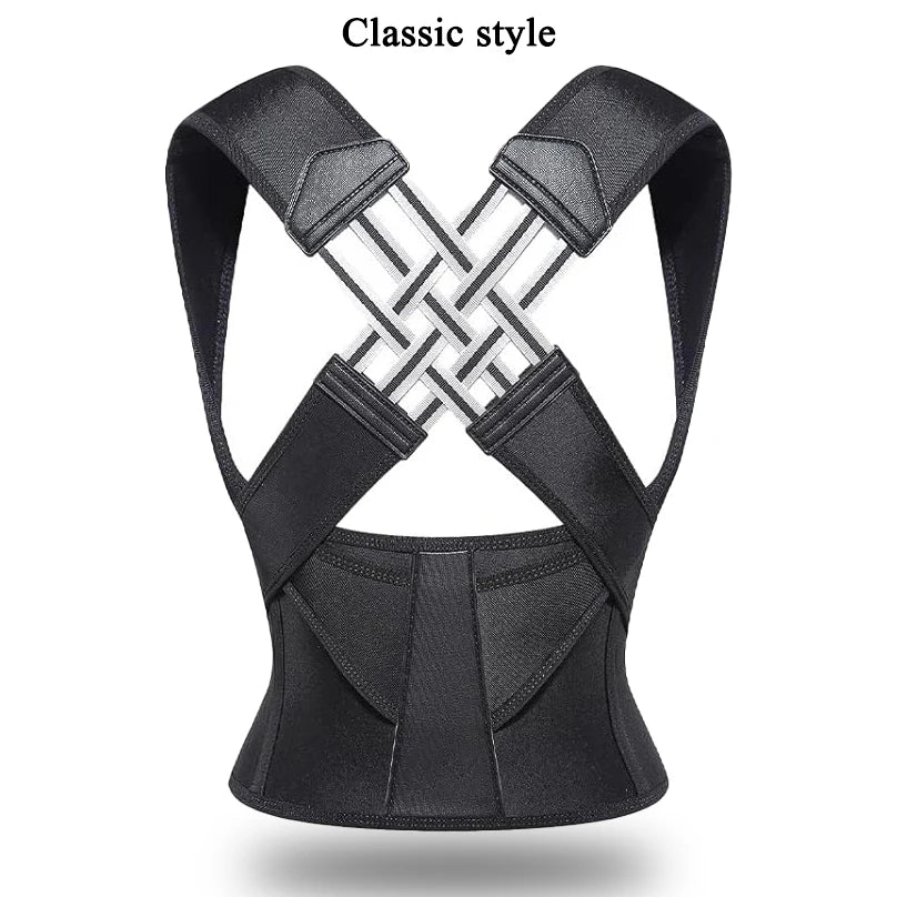 Back support belt