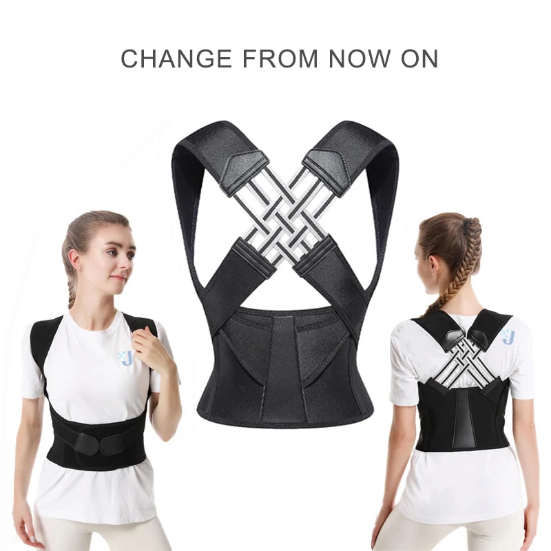 Back support belt
