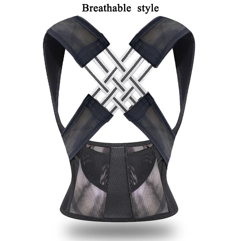Back support belt