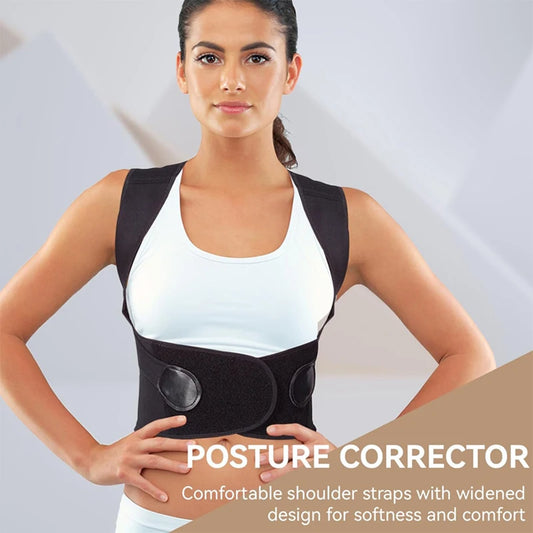 Back support belt